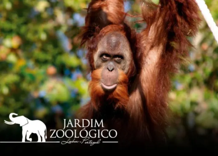 Simpatico No Centro شقة Lisboa